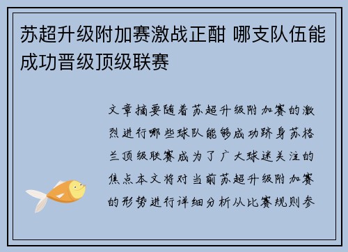 苏超升级附加赛激战正酣 哪支队伍能成功晋级顶级联赛